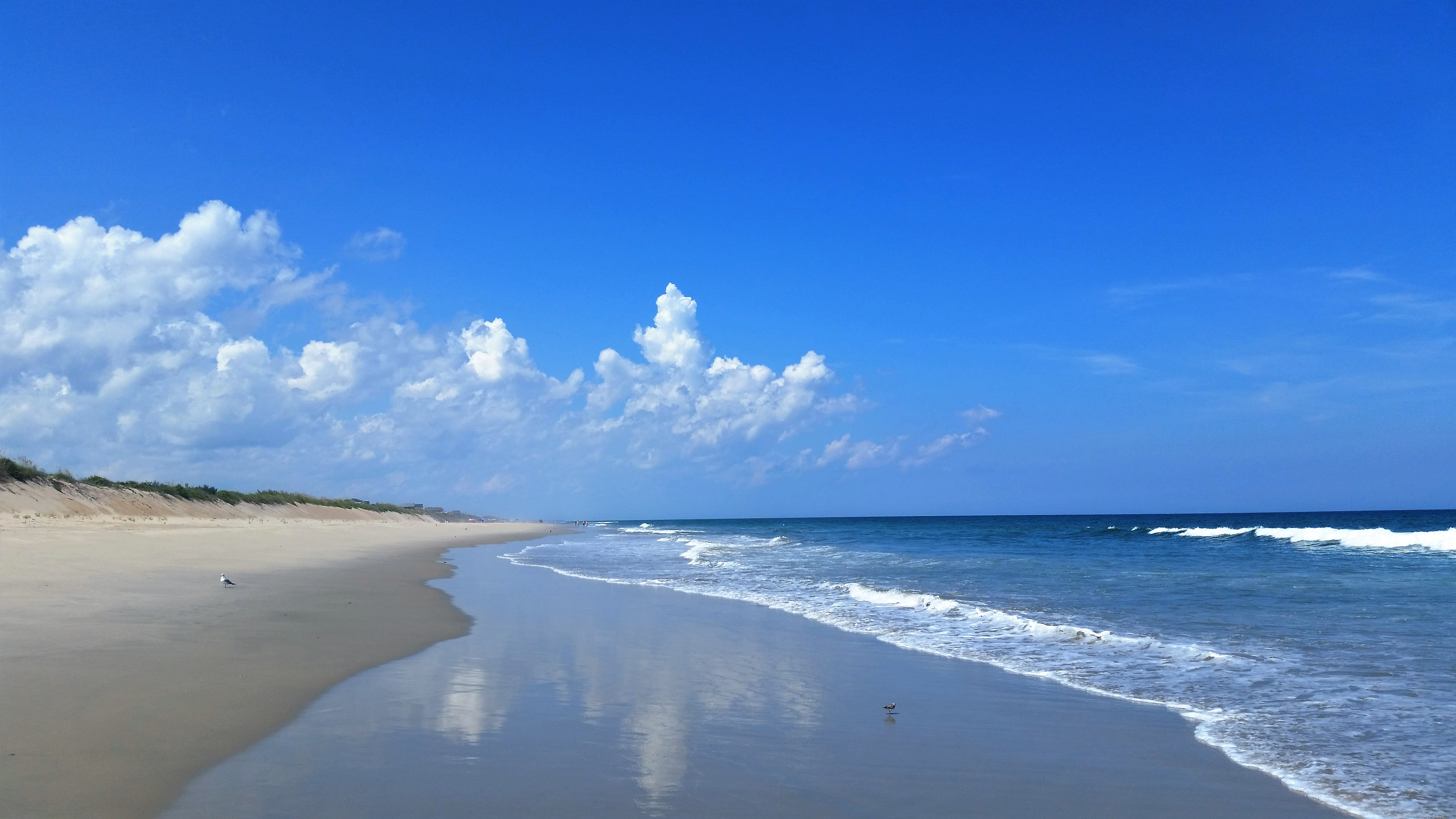 beach shot